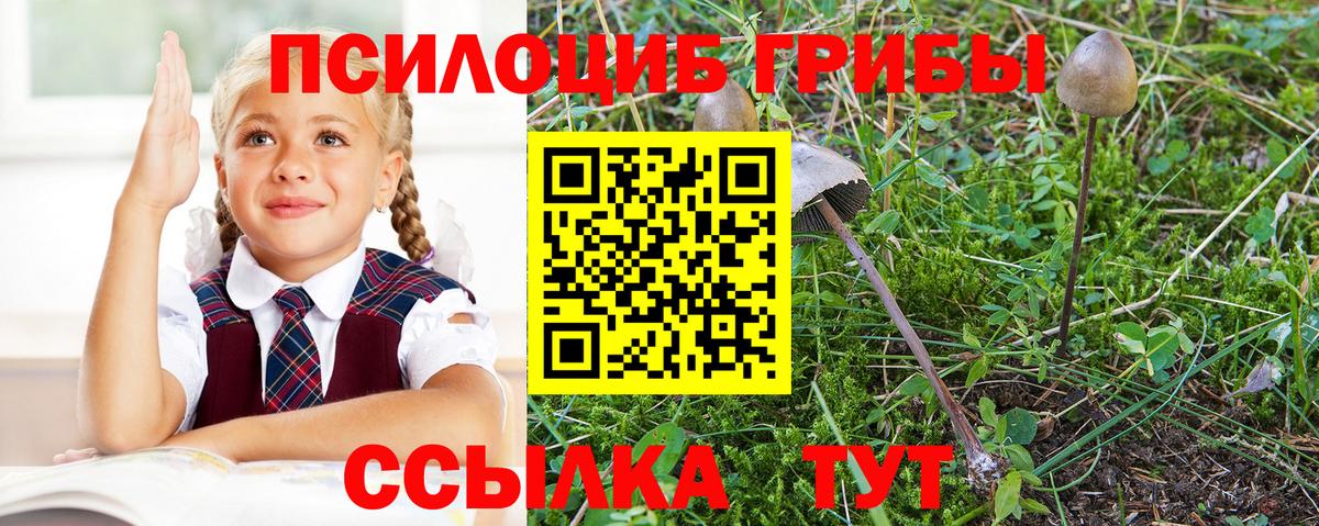 Галлюциногенные грибы MAGIC MUSHROOMS Мариинск