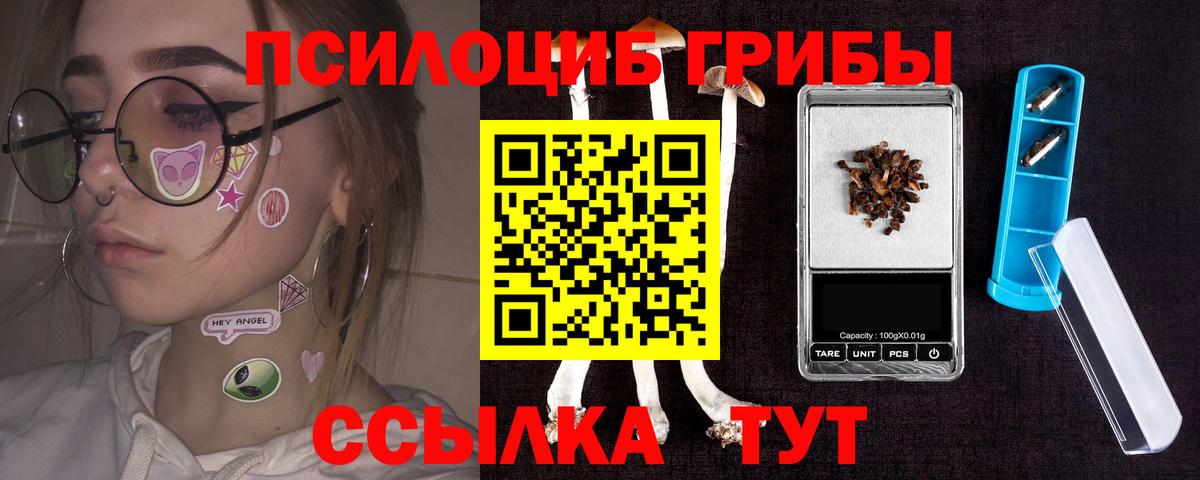 хочу   Псилоцибиновые грибы Psilocybe  Вход с VPN  Мариинск 